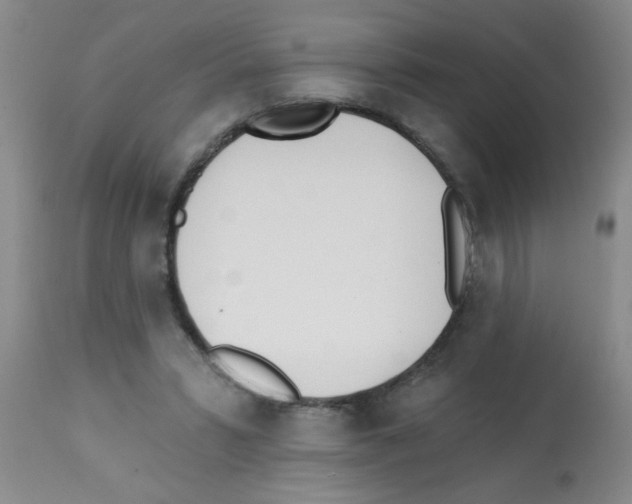 X0000113200399200910221045