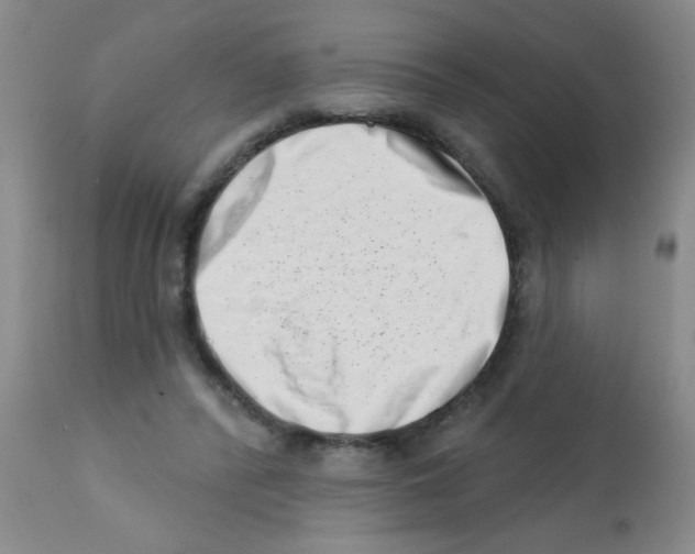 X0000113200400200910221045