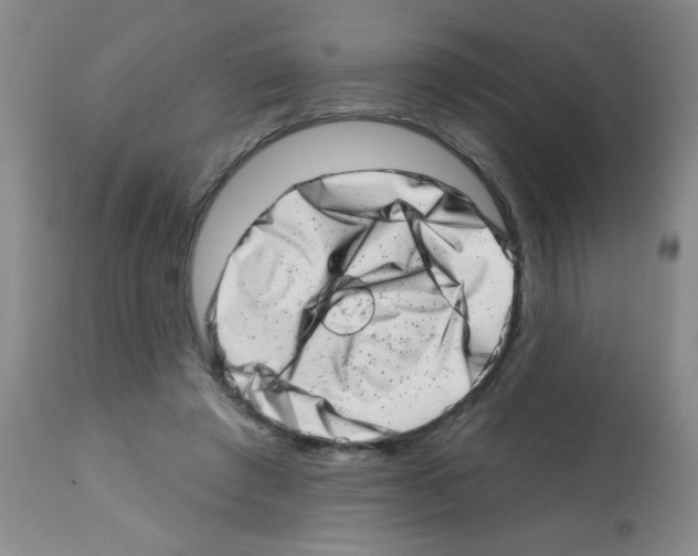 X0000113200401200910221045