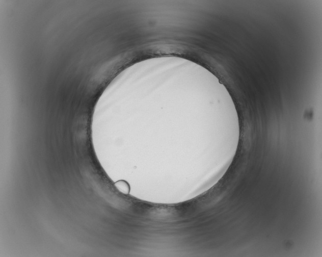 X0000113200402200910221045