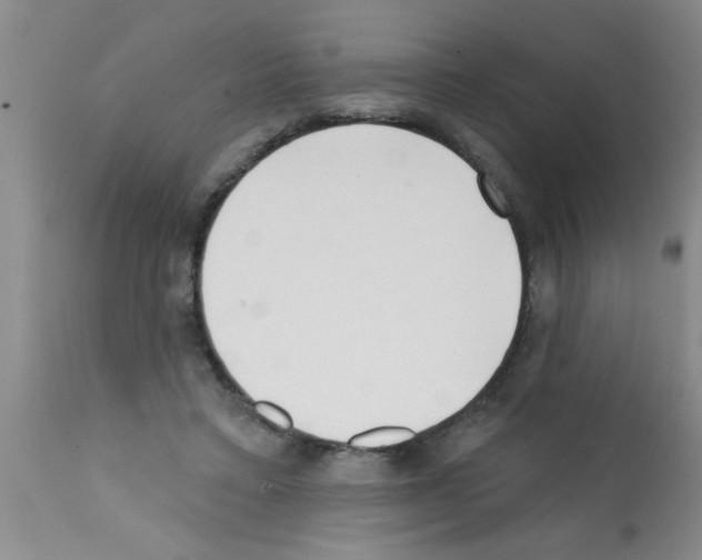 X0000113200403200910221045
