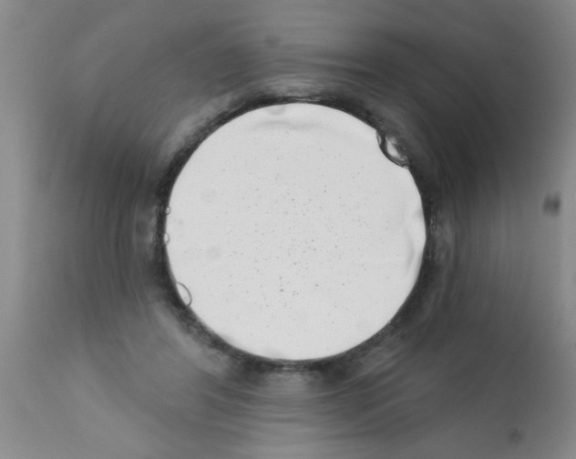X0000113200404200910221045