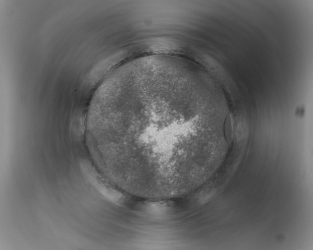 X0000113200405200910221045