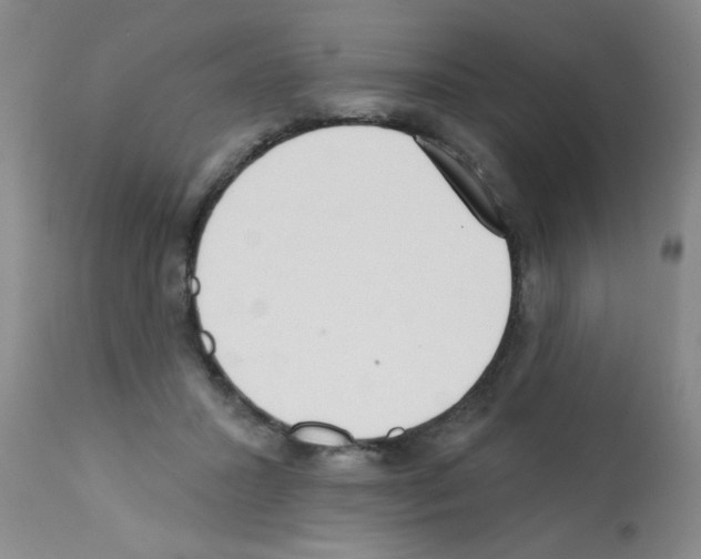 X0000113200407200910221044