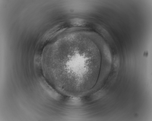 X0000113200409200910221044