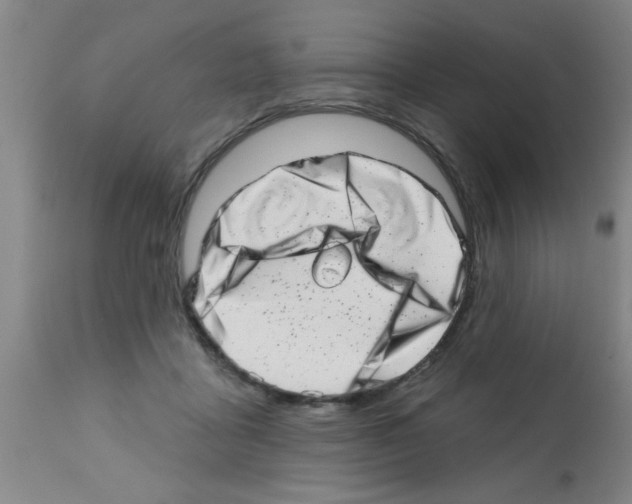 X0000113200411200910221044
