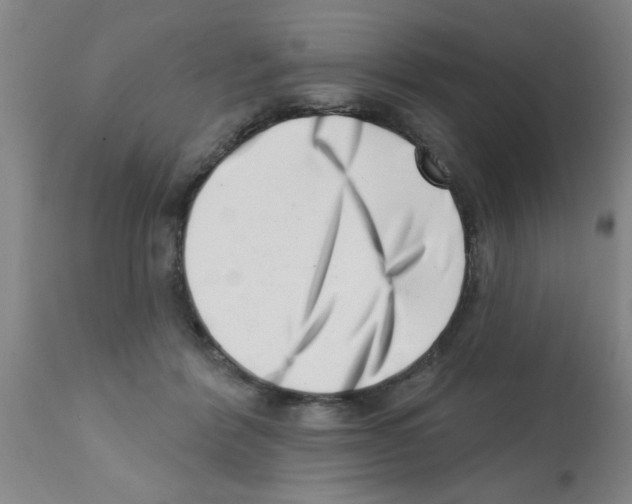 X0000113200412200910221044