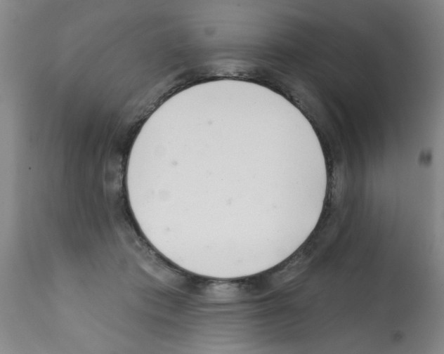 X0000113200413200910221044
