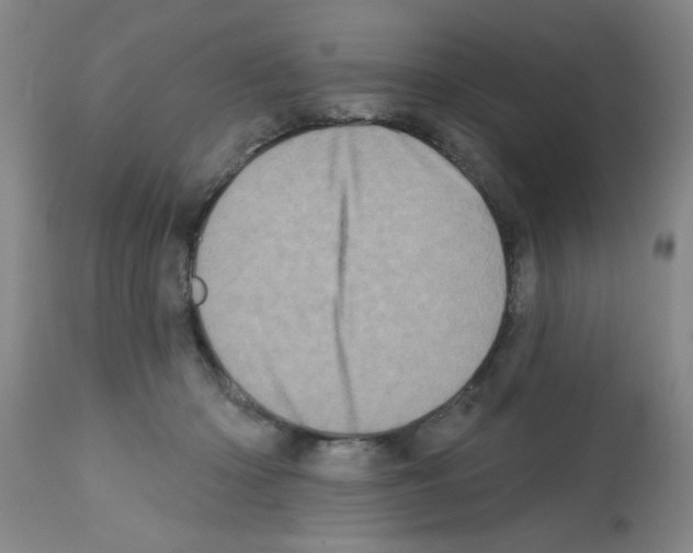 X0000113200414200910221044