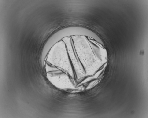 X0000113200415200910221044