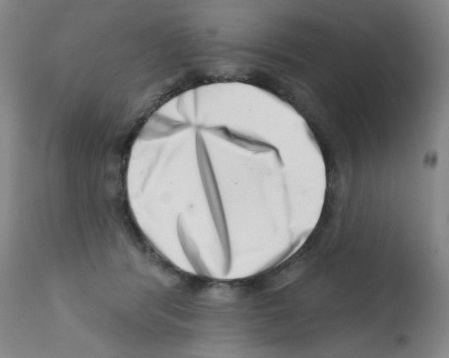 X0000113200416200910221044