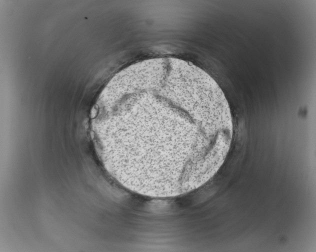 X0000113200418200910221044
