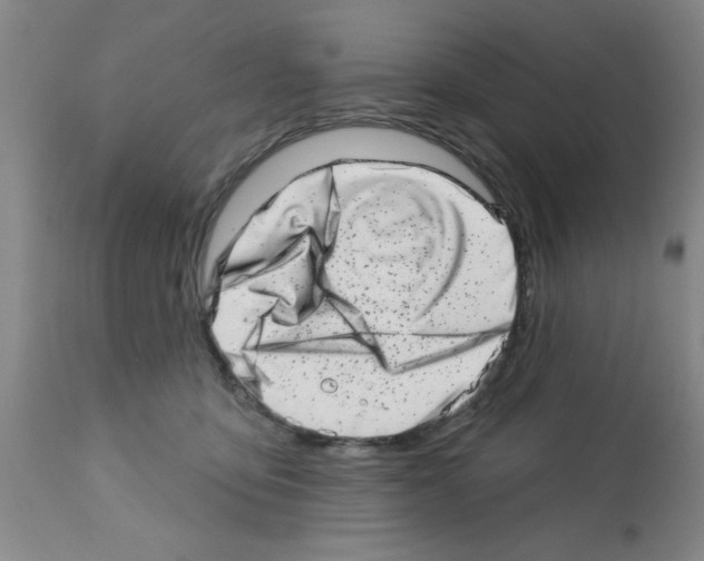 X0000113200419200910221044