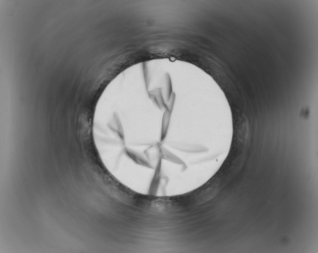 X0000113200420200910221044