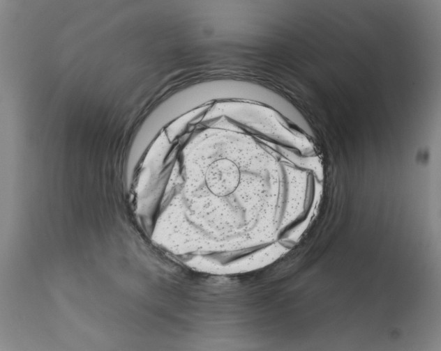 X0000113200421200910221044
