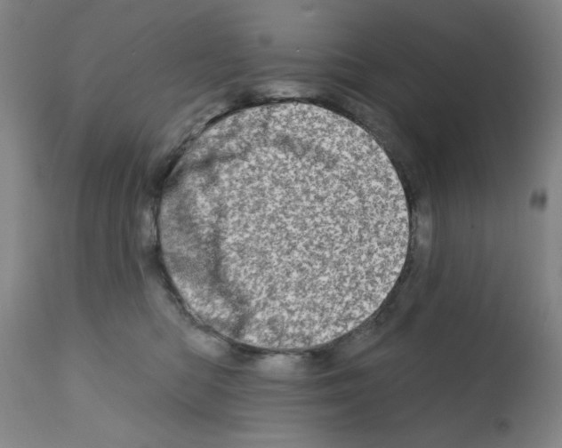 X0000113200422200910221044