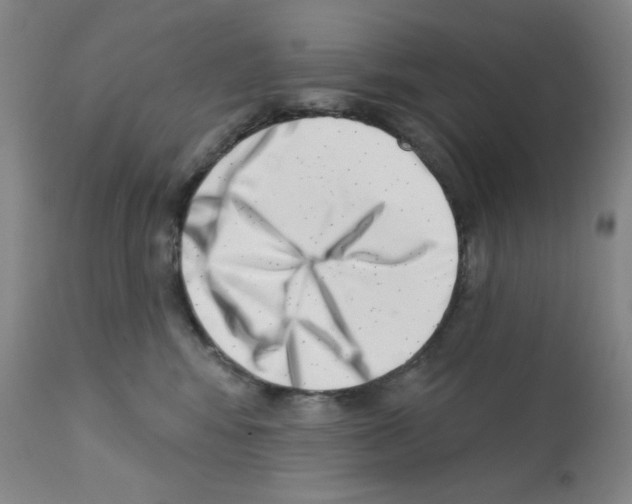 X0000113200424200910221044