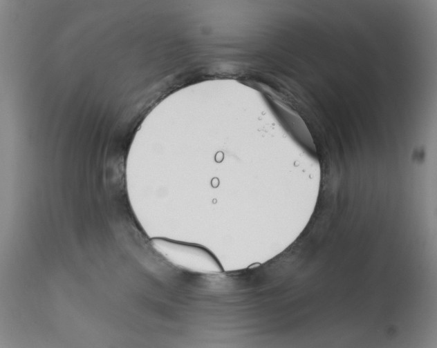X0000113200425200910221044