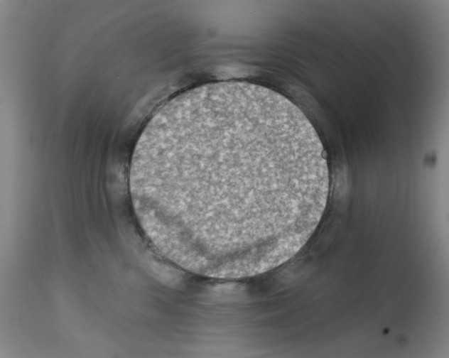 X0000113200426200910221044