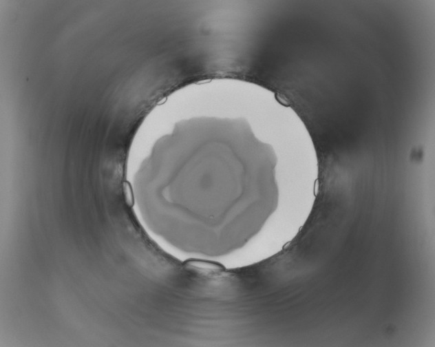 X0000113200427200910221044