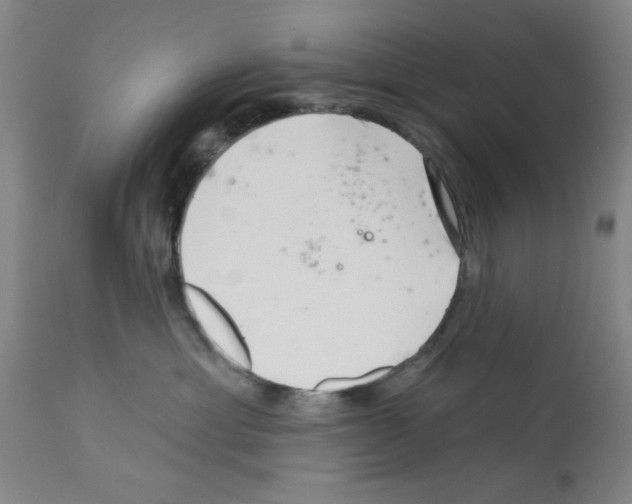 X0000113200429200910221044