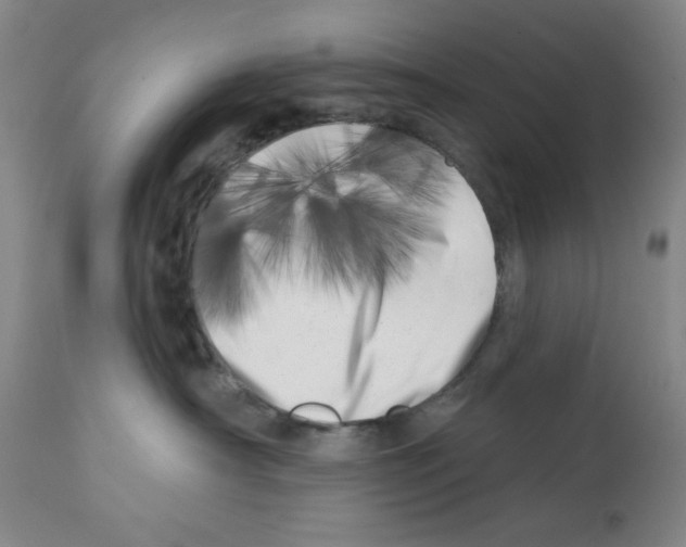 X0000113200430200910221044