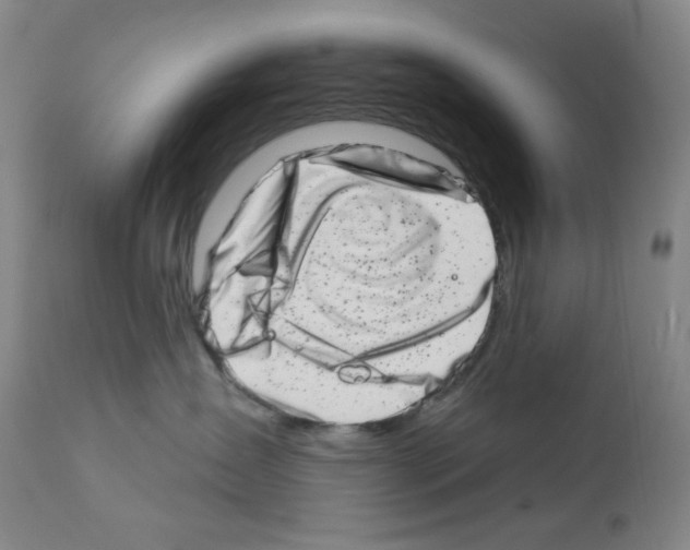 X0000113200431200910221044