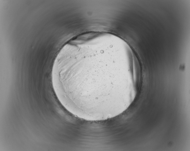 X0000113200433200910221043