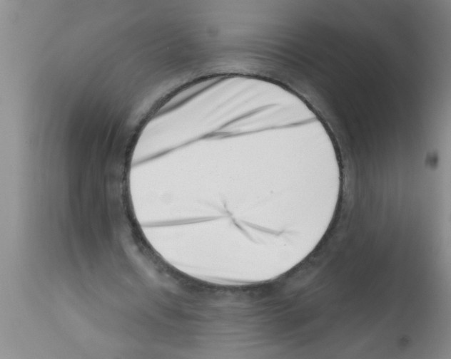 X0000113200434200910221043