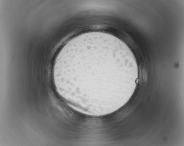 X0000113200435200910221044