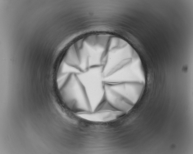 X0000113200436200910221044