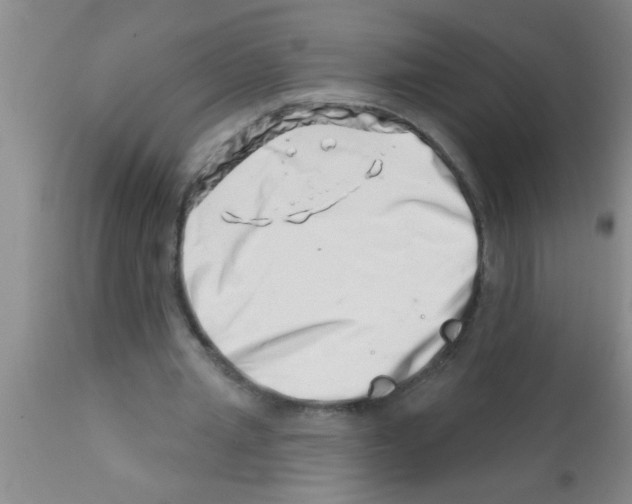 X0000113200437200910221044