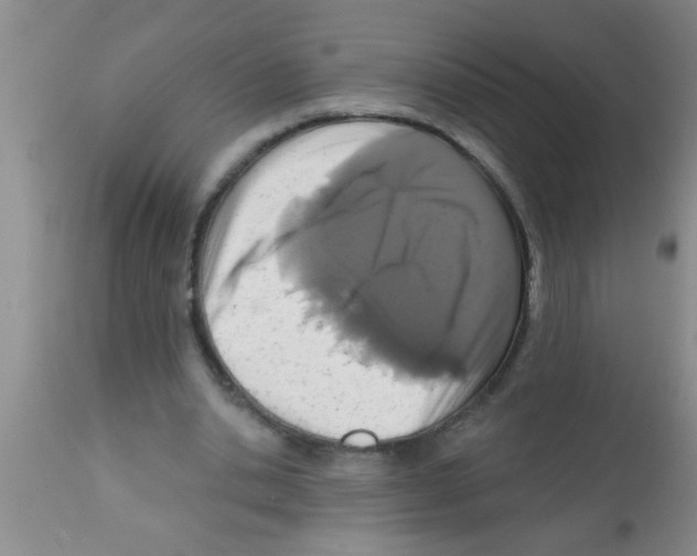 X0000113200438200910221044