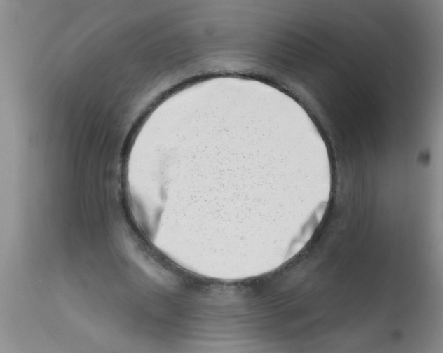 X0000113200439200910221044