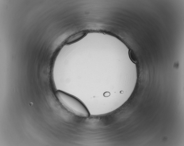 X0000113200440200910221044