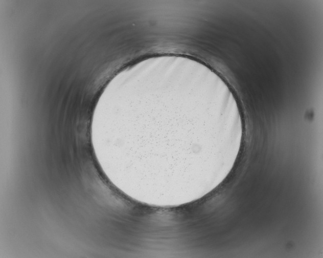 X0000113200441200910221044