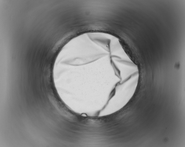 X0000113200442200910221044