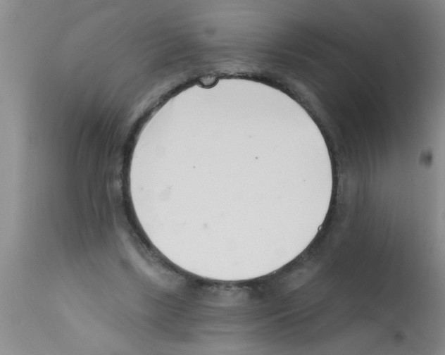 X0000113200443200910221044