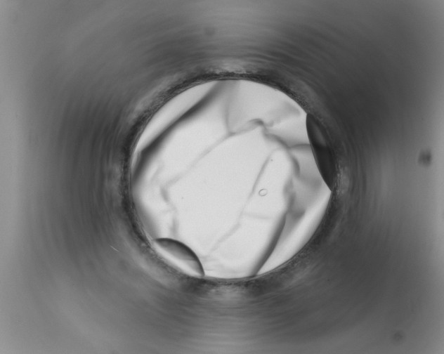 X0000113200444200910221044