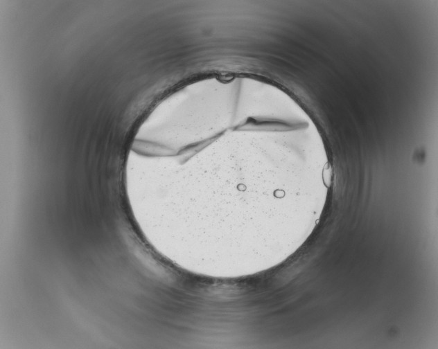 X0000113200445200910221044