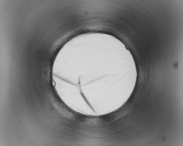 X0000113200446200910221044