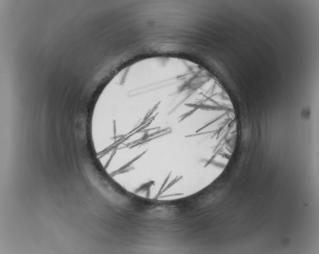 X0000113200447200910221044