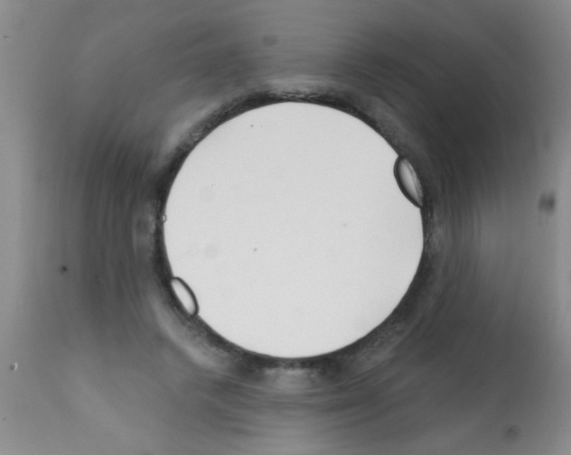 X0000113200448200910221044