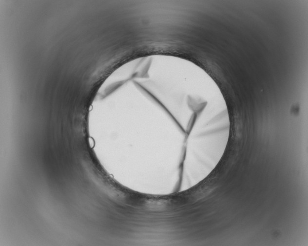 X0000113200450200910221044