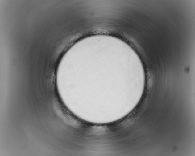 X0000113200451200910221044