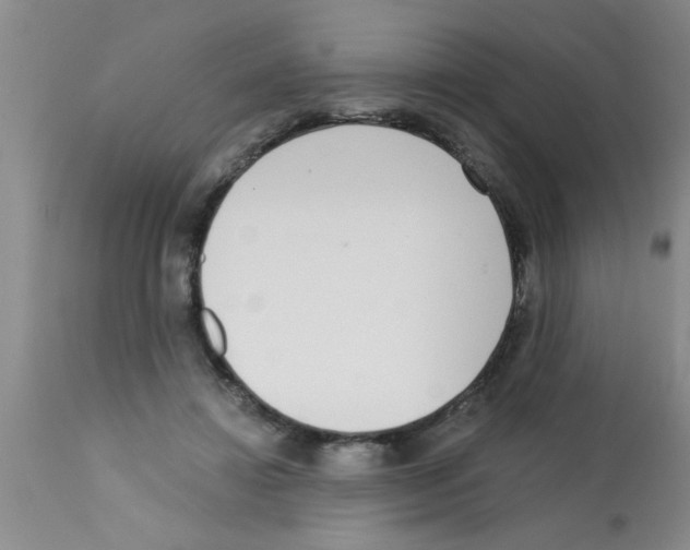 X0000113200452200910221044