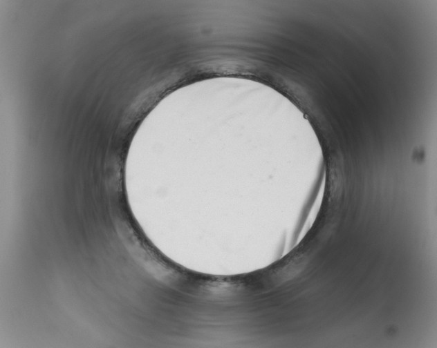 X0000113200453200910221044