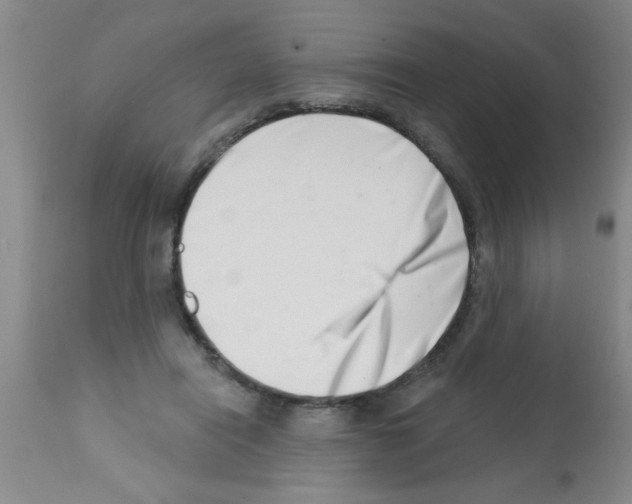 X0000113200454200910221044