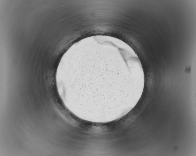X0000113200455200910221044
