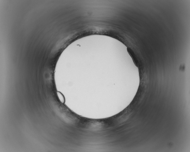 X0000113200456200910221044